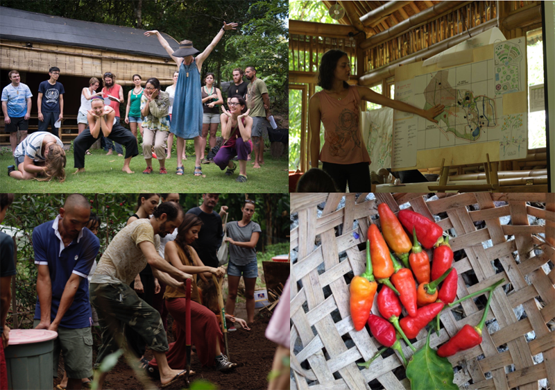 Intro to Permaculture Bali 1